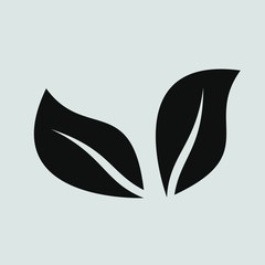 leaf vector icon