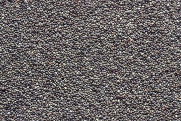 poppy seeds close-up background
