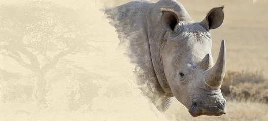 Crédence de cuisine en verre imprimé Rhinocéros Rhino sur papier texturé