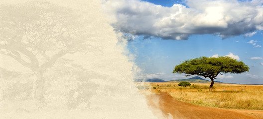 African landscape with acacia tree on textured paper
