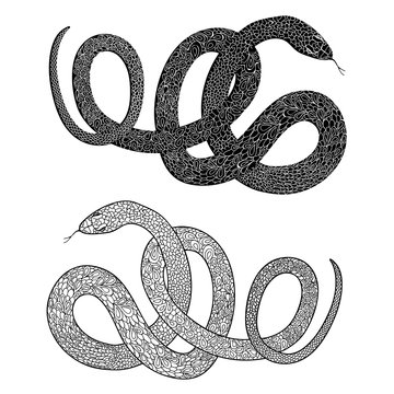 Snake set. Engraved hand drawn vector illustraction of ornamenta