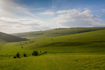 Fototapeta na wymiar Sussex Countryside