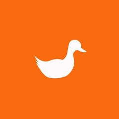 Duck. Single flat icon