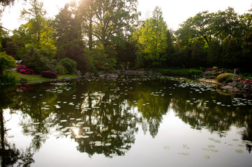 The pond in a Japanese garden in Wroclaw