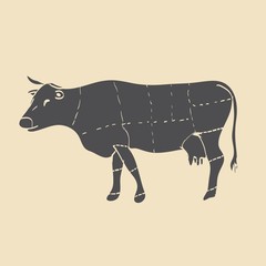 Cuts of beef vector illustration