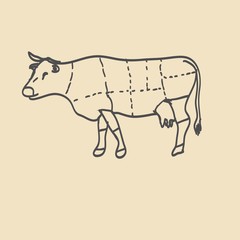 Cuts of beef vector illustration