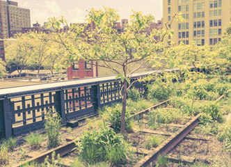 Fototapeta premium The High Line, New York City, vintage Look