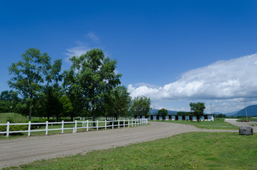 乗馬体験できる道の駅