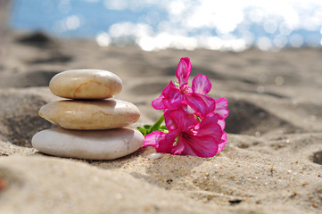 Fototapeta na wymiar Spa stones with flower on sea beach