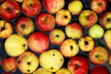 Sign of Autumn