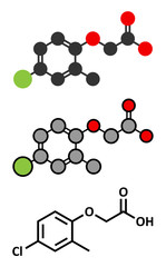 MCPA (2-methyl-4-chlorophenoxyacetic acid) herbicide molecule.