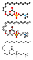 Platelet Activating Factor (PAF) signaling molecule.