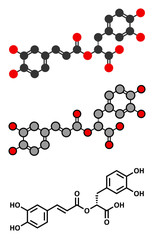 rosmarinic acid herbal antioxidant molecule. 