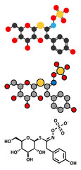 Sinalbin glucosinolate molecule. Present in seeds of white mustard.