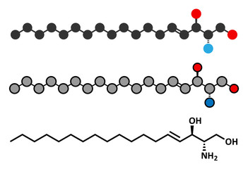 Sphingosine lipid molecule.