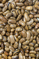 background bean seeds