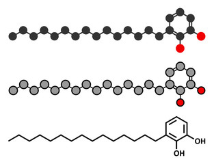 Urushiol poison ivy allergen molecule. 