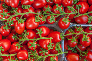 Background of many red and green tomatoes