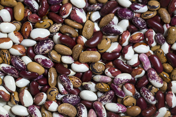 background bean seeds