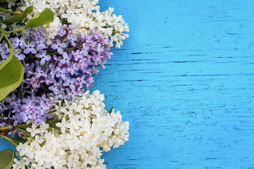 festive background of white and purple lilac on blue wooden surface