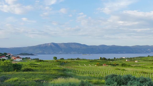 Place Lumbarda on the island Korcula. Sea beach Bilin Zal and vineyards. Spring 2016. Old tower and ruins from the Middle Ages