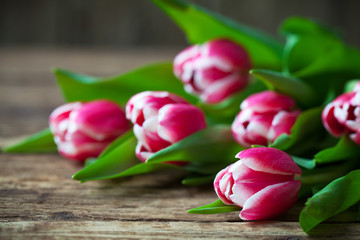 A bunch of fresh pink tulips flowers on a rustic wooden background