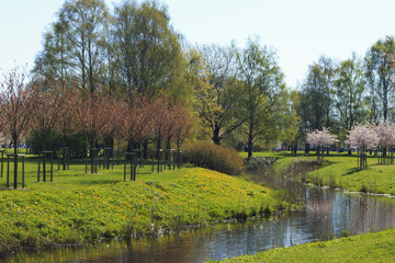 The spring bloom of the Victory park at Rīga.