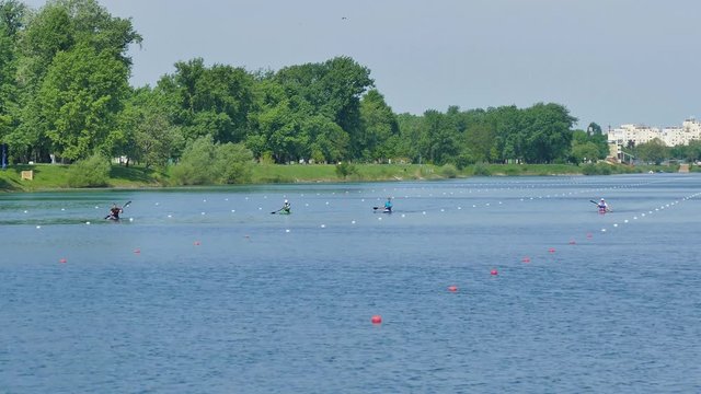 Rowers on Lake Jarun - spring 2016. zagreb, Croatia.