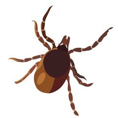 Insect tick, isolated vector
