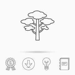 Pine tree icon. Forest wood sign.