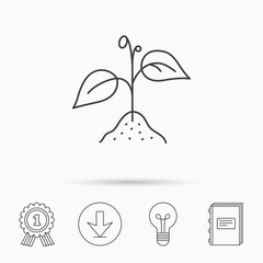 Plant with leaves icon. Agriculture sign.