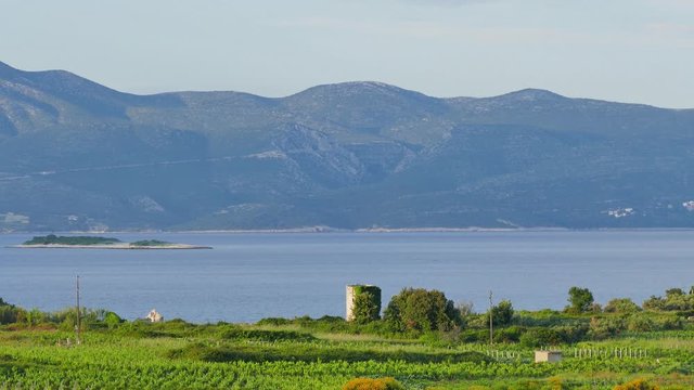 Place Lumbarda on the island Korcula. Sea beach Bilin Zal and vineyards. Spring 2016. Old tower and ruins from the Middle Ages
