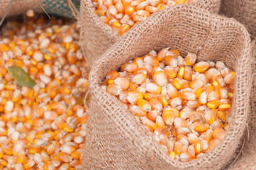 Corn groats and seeds