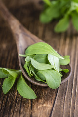Some fresh Stevia leaves (selective focus)