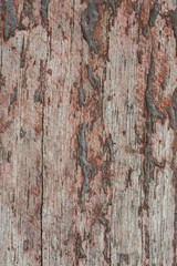 Obraz premium Closeup detail of brown painted wood texture background