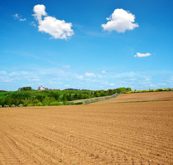 Fototapeta na wymiar Plowed field in sunny day. Spring rural landscape