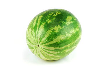 single watermelon on white background