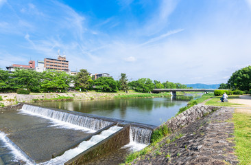 Fototapeta premium 京都 新緑の賀茂川