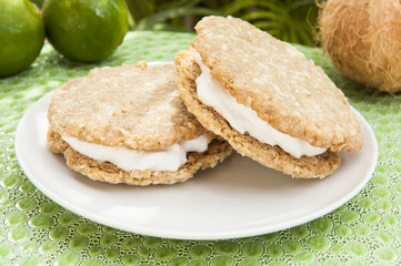 Vegan Ice Cream Sandwiches