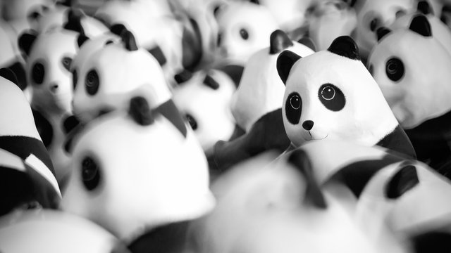 Close up of Panda dolls