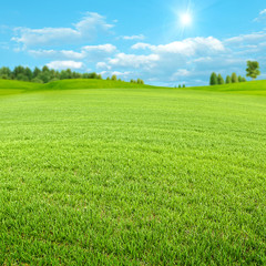 Green spring valley, beauty seasonal backgrounds