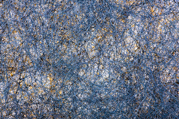 Абстрактное изображение из множества сплетённых нитей
