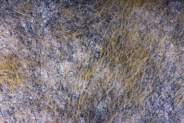 Абстрактное изображение из множества сплетённых нитей
