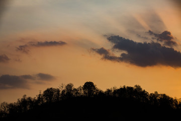 Silhouettes of trees and mountain on sunset