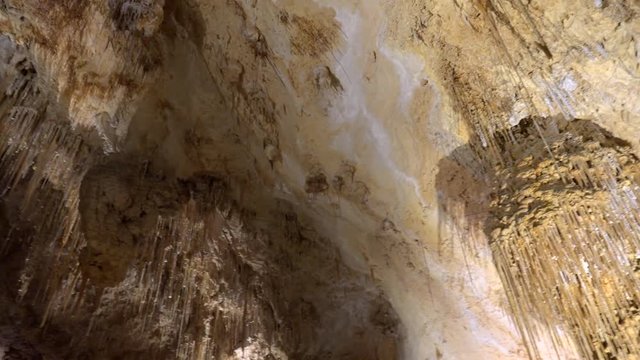 Speleothem in the Fantasy Cave, Bermuda.