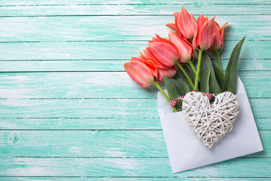 Spring tulips in white envelope and heart  on turquoise painted