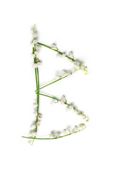 English alphabet from flower letters. creative decorative letter B