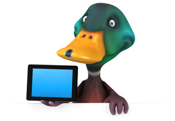 Duck