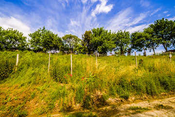 Dirt road the hills of Tuscany and Romagna Apennines