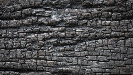 old wood Abstract background